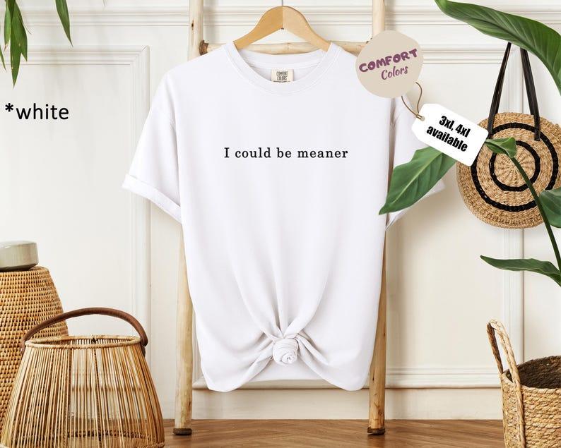 I Could Be Meaner – Funny Sarcastic Graphic T-Shirt / Hoodie / Sweatshirt