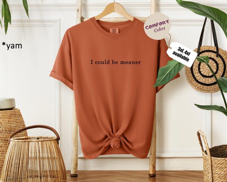 I Could Be Meaner – Funny Sarcastic Graphic T-Shirt / Hoodie / Sweatshirt