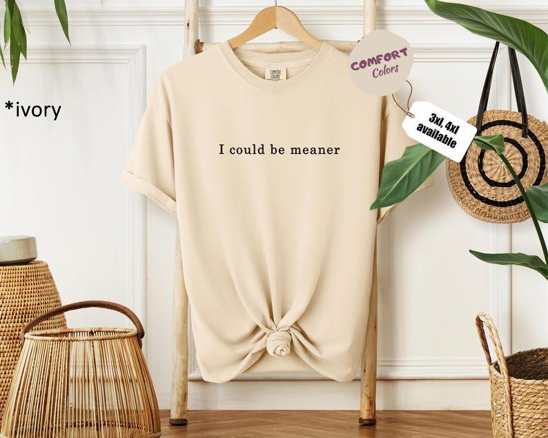 I Could Be Meaner – Funny Sarcastic Graphic T-Shirt / Hoodie / Sweatshirt