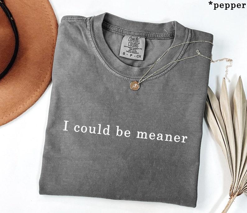 I Could Be Meaner – Funny Sarcastic Graphic T-Shirt / Hoodie / Sweatshirt