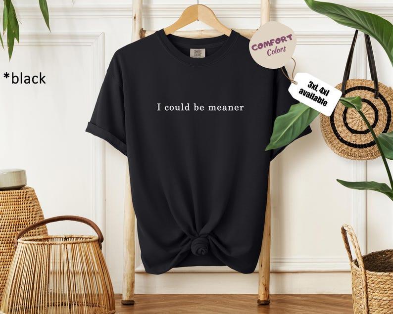 I Could Be Meaner – Funny Sarcastic Graphic T-Shirt / Hoodie / Sweatshirt