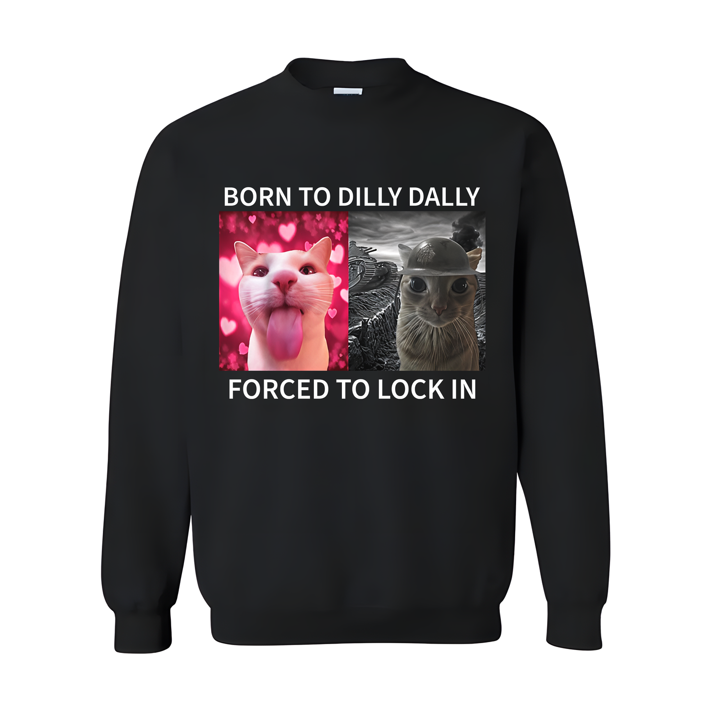 Born To Dilly Dally Forced To Lock In T-Shirt/Sweatshirt/Hoodie
