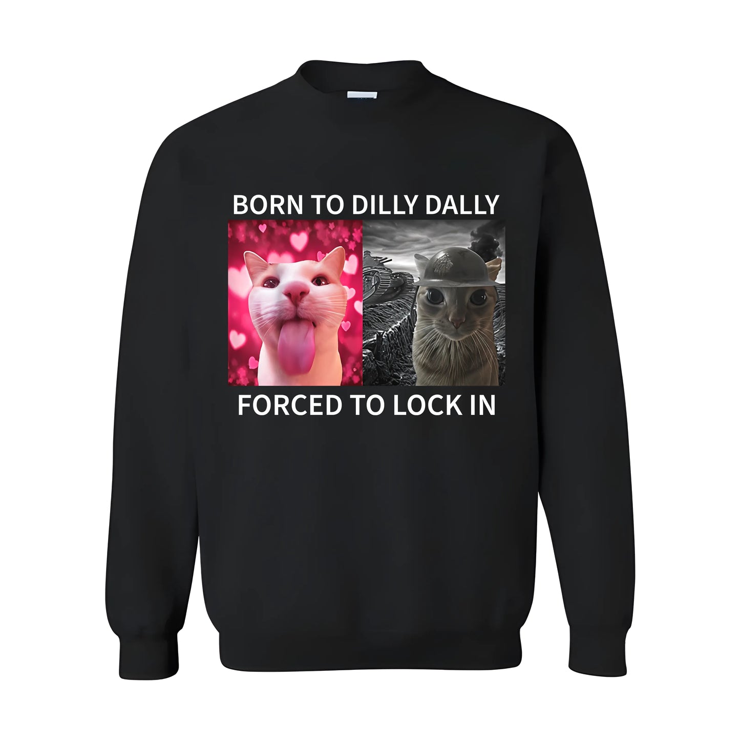 Born To Dilly Dally Forced To Lock In T-Shirt/Sweatshirt/Hoodie